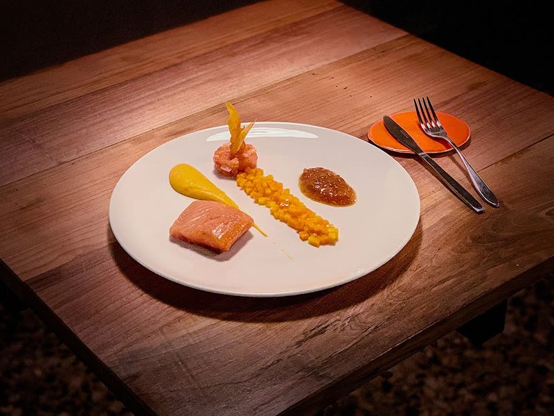 Salmon with pumpkin cream, tartare and apricot chutney plated on a white plate
